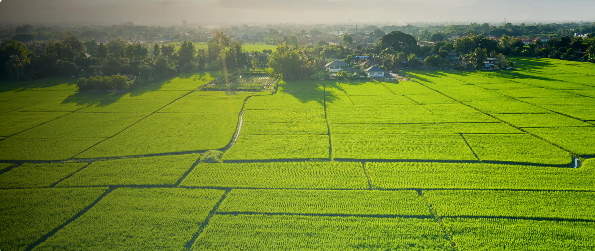 Land Loans  - photo 1