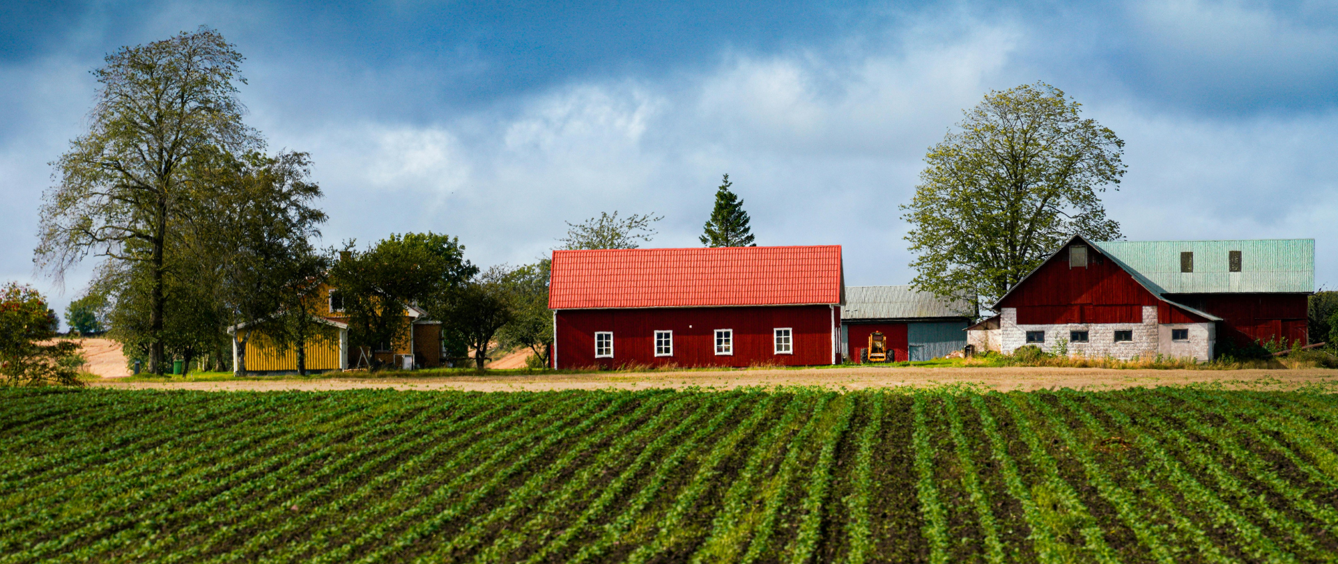 USDA Loans - photo 1